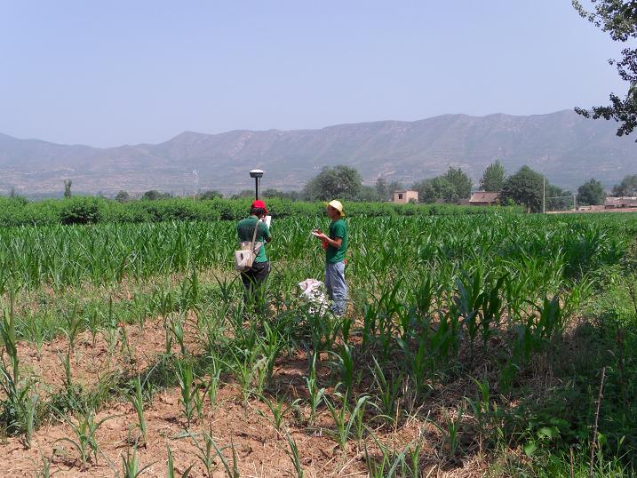 高速公路两阶段设计放线测量
