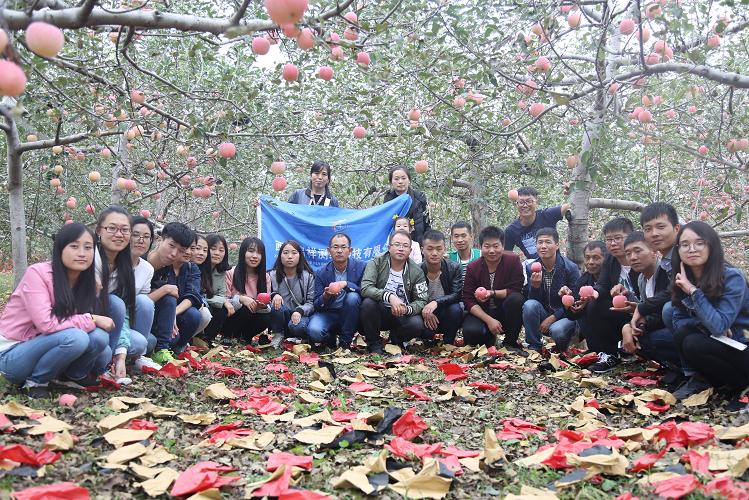 赏洛川风光 享采摘乐趣